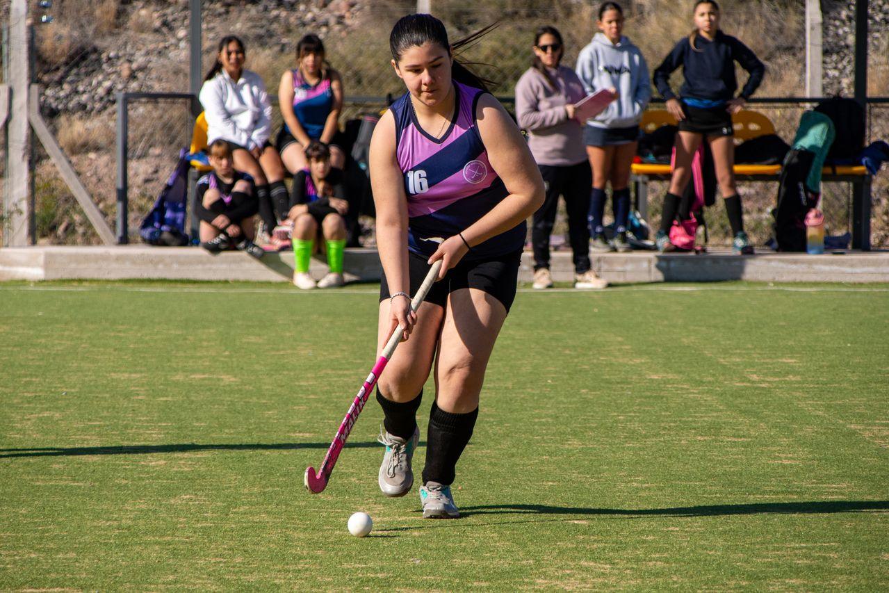 Field Hockey vs. Ice Hockey: Global Popularity and Culture